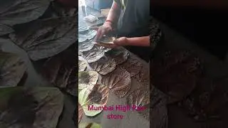 Best Sellers pan of Mumbai High pan shop Navi Mumbai Nerul