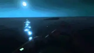 Whale in Stranded Deep ??? Really ???