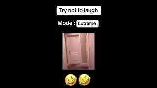 😆🤣 SPONTANEUS SUNDAY MEMES😆🤣 #funny #LOLChallenge #FunnyMemes