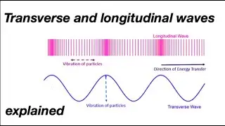 Transverse and longitudinal waves: fizzics.org