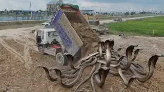 WTF!! Terrifying Land Fill Moment! KOMATSU Bulldozer & 5 Ton Truck Working Side by Side