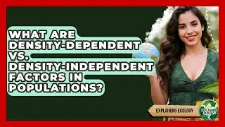 What Are Density-dependent Vs. Density-independent Factors In Populations? - Explaining Ecology