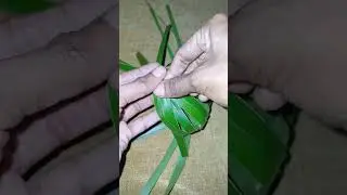 cocunut leaf art #shorts