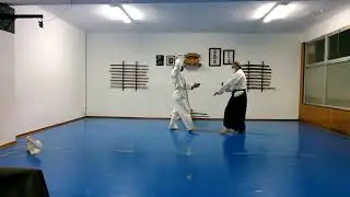 28. Aikido Casero. Tambo jutsu 1.