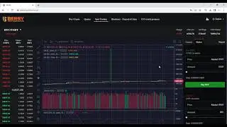 BERRY Trading Platform