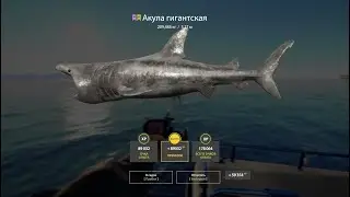 Ловим в свое удовольствие. РР4.