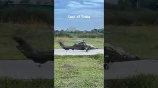 Tiger EC-665 Helicopter #soulofscalerc #helicopter #rc #aviation #toys