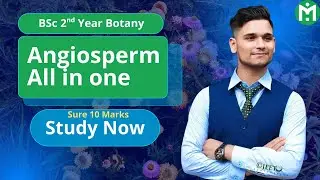 BSc 2nd Year Botany || Angiosperm All in One 🔥