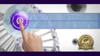 ATCC STR Cell Line Authentication