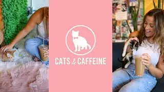 Cats & Caffeine