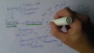 Concepts in healthcare