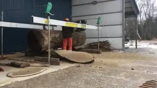 Live edge walnut , with Lucas dedicated slabber