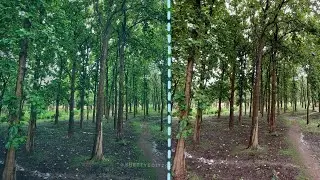 Photo editing edit nature photography #shettyeditz07 #firstvlog