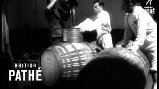 Madeira Wine Making (1952)