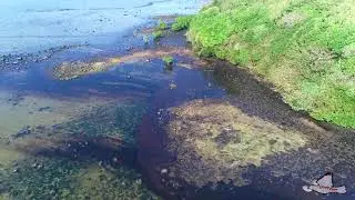 Oil Spill Moves on the Mahebourg Waterfront in Riviere des Creoles, Mauritius