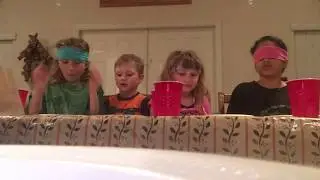 💜 Porter's Playhouse 💜 Pringles chip challenge 💜