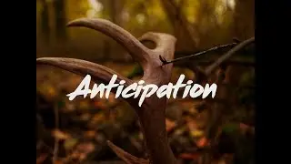 Missouri Deer Hunting Preparation 