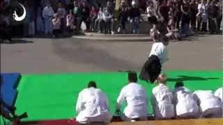 Joza Sensei & Aikido team - public demonstration 