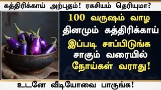 இனி மருந்தே வேண்டாம் கத்திரிக்காய் சாப்பிட்டால் உடலில் நடக்கும் மாற்றம் |‌ Brinjal Benefits in Tamil