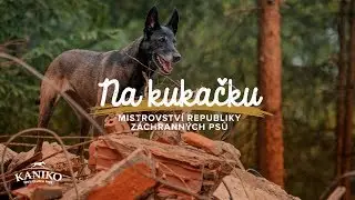 Mistrovství ČR záchranných psů