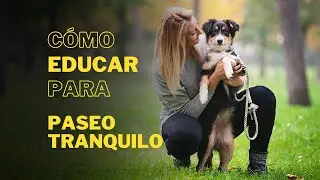 Para conseguir un PASEO TRANQUILO, EDUCA tu PERRO con esas 3 t&eacute;cnicas I C&Oacute;MO LLEVARLO