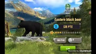 playing hunting clash on tablet