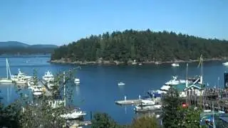 At play in Friday Harbor, WA.