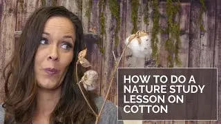 NATURE STUDY OBJECT LESSON WITH COTTON| CHARLOTTE MASON HOMESCHOOLING