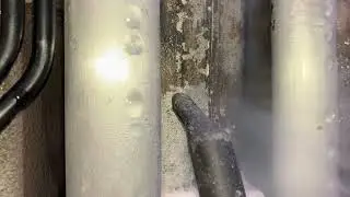 Steam removal of cosmoline