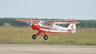Ripmax Black Horse PA-18 Super Cub 120cc ARTF - A-BH172