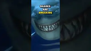 Did you survive the sharks?
