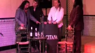 Noches de Flamenco - Jovenes Flamencos