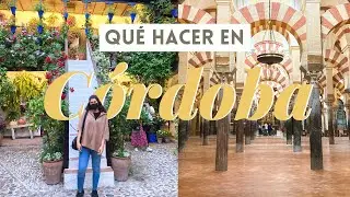 Así es el Festival de los Patios de Córdoba!🌺💐 | Qué ver y hacer en Córdoba, España