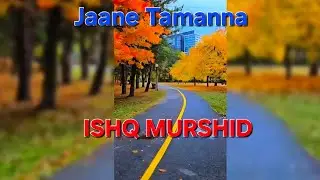 ISHQ MURSHID | Soulful Pakistani OST with English and Hindi Subtitles | Sufi Divine Romantic Song | 
