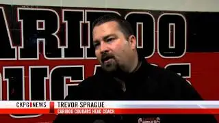 Cariboo Cougar Must Choose