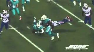 2015 Miami Dolphins Pump Up