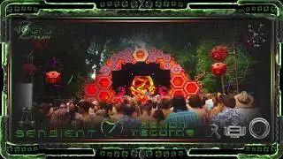 Sensient Live @ Noisily Festival 2018