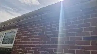 Bird box placement