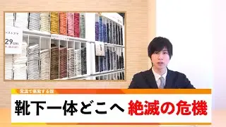 どうでもいい日常のニュース【11月編】