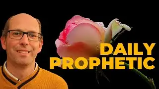 Daily Prophetic Word👉 Restoration and Healing Are Unfolding