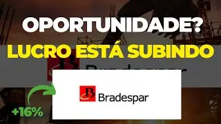 BRADESPAR: Vale a Pena Comprar as A&ccedil;&otilde;es BRAP4 e BRAP3?