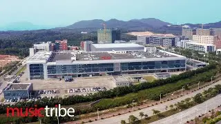 Music Tribe City - Vol. 2