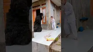 Bocil Sakti Ganteng Prank GRANDONG Nakal Lagi Main Prosotan Sampai Masuk Rumah Warga