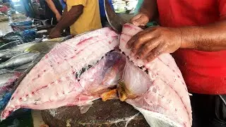 I Never Seen!!! Giant Trevally Fish Cutting Live In Fish Market | Fish Cutting Skills