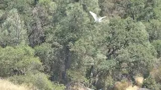 8/3/25 El Dorado County Lakebed