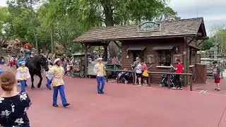 Disney Princess Cavalcade