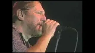 MARSHALL TUCKER   Fire on the Mountain  2007 Live