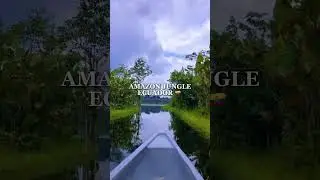 Amazon Jungle Tours - Ecuador #amazonjungle #ecuador #happygringo