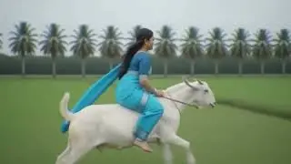 Indian women saree big goat riding and run video 