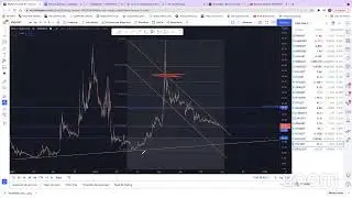 Reuni&oacute;n de Zoom de PROYECTO TRADERS